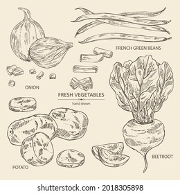 Collection of vegetables: full onion and onion slices, potatoes, french green beans and full beetroot and piece of beet. Vector hand drawn illustration.