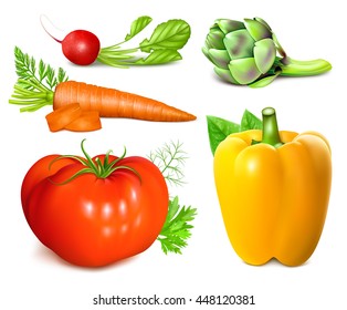 Collection of vegetables. Fully editable handmade mesh. Vector illustration.