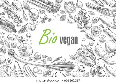 collection of vegetables hand-drawn vector illustration