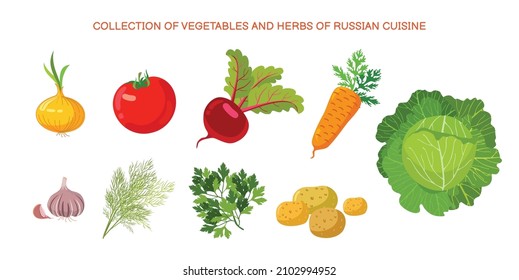 Colección de verduras y hierbas de la cocina rusa.