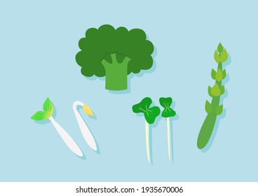 Collection of vegetables on blue background. Vegetables for cooking, asparagus, Sprouts, Broccoli. Cartoon vector illustration.
