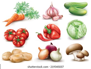 collection vegetables on white background. vector illustration