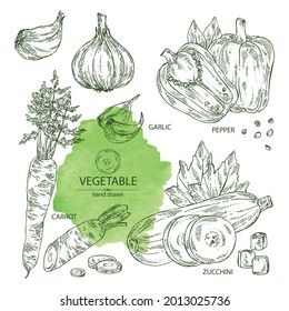 Collection of vegetables: pepper, full carrot and slices, zucchini and garlic. Vector hand drawn illustration.