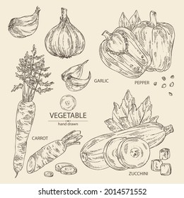Collection of vegetables: pepper, full carrot and slices, zucchini and garlic. Vector hand drawn illustration.