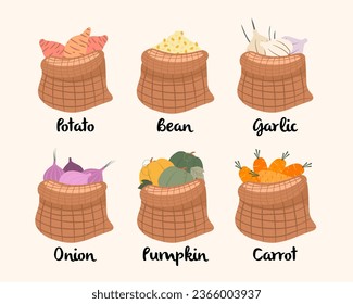 colección de verduras. papa, frijol, ajo, cebolla, calabaza y zanahoria. Ilustración vectorial.