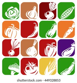 Collection of vegetables set. Vector illustration