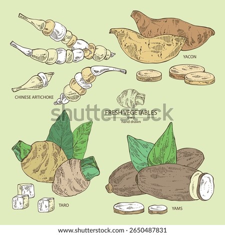 Yam Drawing | Free download on ClipArtMag