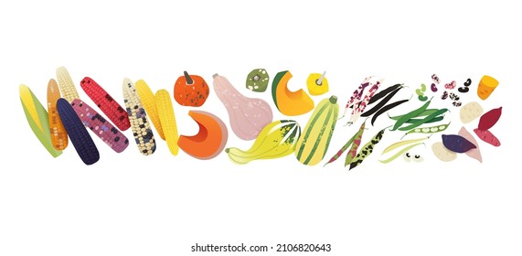 Great Collection Clip Art Vegetables Stock Vector (Royalty Free ...