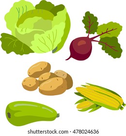collection vegetables vector isolated on white background for your design