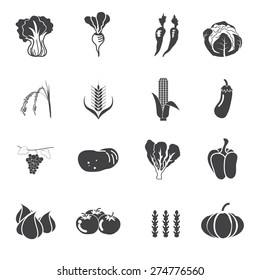 collection vegetables vector set
