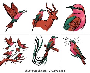 Una colección de ilustraciones vibrantes con pájaros abejarucos en varias poses, incluyendo volar, posarse y cantar, junto a un antílope.