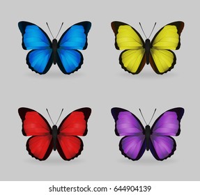 A collection of vibrant multicolor insect blue morpho butterflies. Realistic close-up look, delicate wing pattern, 4 colour variations.