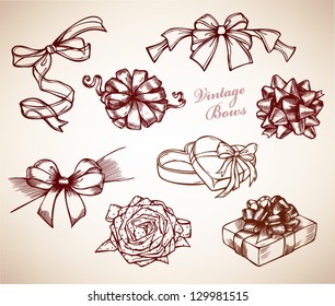 Collection vintage bows, hand drawn set, vector illustration