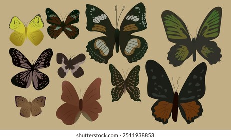 Collection of  vintage color hand drawn butterflies of various shapes and types. Simple set of butterfly  collection. vector illustration. 