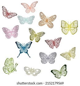 Collection Of Vintage Elegant Illustrations Of Butterflies. Butterfly Collection Vector Illustration
