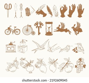 Collection of vintage elements linear symbols, icons design. Bicycle, key, coffee machine, hourglass, bird, plant. Editable Vector Illustration.