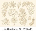 Collection vintage floral motif. William Moriss style art and craft movement. Design outline flower symbol. Vector illustration.