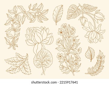 Collection vintage floral motif. William Moriss style art and craft movement. Design outline flower symbol. Vector illustration.