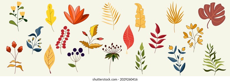 Collection of Vintage flowers and leaves. Set of illustrations with autumn leaves, brunches, berries and flowers, berries, leafs, wreaths. Design spring elements for cards, invitations, tags and
