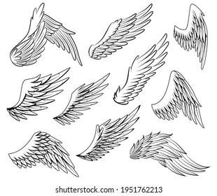 Collection Vintage Heraldic Wings Sketch Monochrome Stock Vector ...