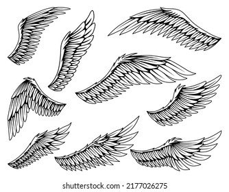 95,139 Open out the wings Images, Stock Photos & Vectors | Shutterstock