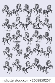 Collection of Vintage Horse Engravings