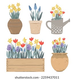 Collection of vintage pots, watering can and box with Spring flowers. Tulips, hyacinths, muscari, daffodils. Doodle hand drawn vector illustration isolated on white. Summer garden