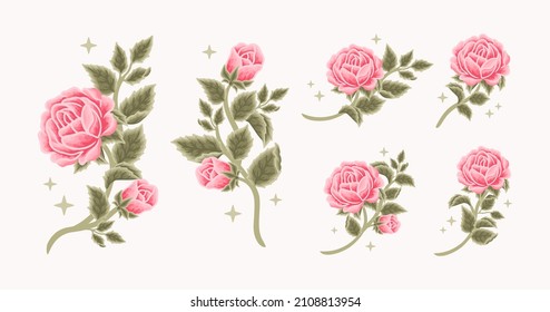 Collection of vintage romantic pink rose and peony flower for greeting cards, wedding invitation, decoration, craft, journal, feminine logo, beauty label, branding elements