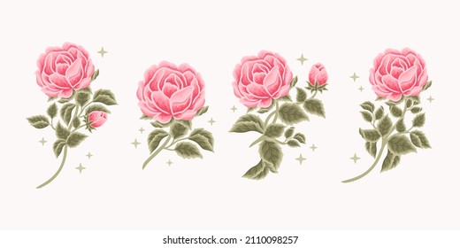 Collection of vintage romantic pink rose and peony flower for greeting cards, wedding invitation, decoration, craft, journal, feminine logo, beauty label, branding elements