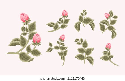 Collection of vintage romantic pink rose flower bud and green leaf branch for greeting cards, wedding invitation, decoration, craft, journal, feminine logo, beauty label, branding elements