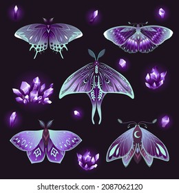 Collection of violet butterflies and crystals. Vector illustration.