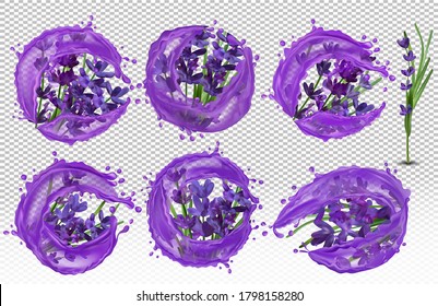 Recolección de lavanda violeta con gotas de agua. Esparce agua en lavanda. Lavanda de aceite de Aroma. Ramo de lavanda. Ilustración vectorial 3D realista.