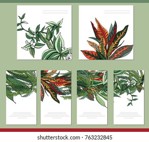 Collection of visit cards, square greeting cards and banners with home plants. Tipical flowers grown indoors