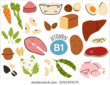 Collection of vitamin B1 food sources. Thiamin diet products. Salmon, bread, nuts, vegetables, meat, fish. Organic nutrition
