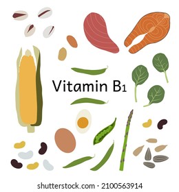 Collection of vitamin B1 sources. Food containing thiamine. Dietetic products, organic nutrition. Flat vector cartoon illustration.