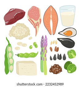 Collection of vitamin B1 sources. Food containing thiamin. Tofu, oatmeal, liver, pork, beans, peas, mussels, salmon, asparagus, flax seeds, brussels sprouts. Dietetic products, organic nutrition.