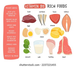 Collection of vitamin B12 food. cheese, eggs, clams, beef, turkey, milk, liver, spinach, sardines, tuna, salmon. Dietetic products, organic natural nutrition. Flat vector cartoon illustration