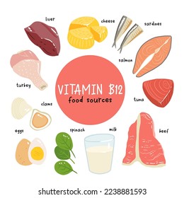 Collection of vitamin B12 food. cheese, eggs, clams, beef, turkey, milk, liver, spinach, sardines, tuna, salmon. Dietetic products, organic natural nutrition. Flat vector cartoon illustration