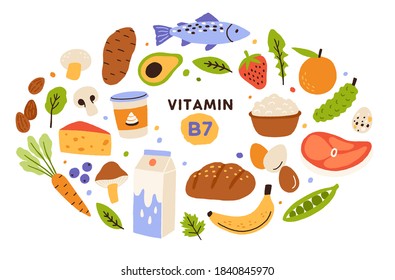 Collection Of Vitamin B7 Source. Food Containing Biotin. Fish And Meat, Dairy Products, Fruits And Vegetables. Dietetic Organic Nutrition. Flat Vector Cartoon Illustration Isolated On White Background