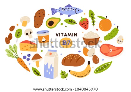 Collection of vitamin B7 source. Food containing biotin. Fish and meat, dairy products, fruits and vegetables. Dietetic organic nutrition. Flat vector cartoon illustration isolated on white background