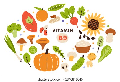 Collection of vitamin B9 sources. Food enriched with folatin. Dairy product, fruits, vegetables and salad greens. Dietetic organic nutrition. Flat vector cartoon illustration isolated on white