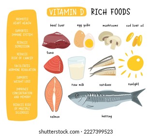 Collection of vitamin D sources. Food enriched with cholecalciferol. Dairy products, fish, mushrooms and eggs. Dietetic organic nutrition. Flat vector cartoon illustration isolated on white