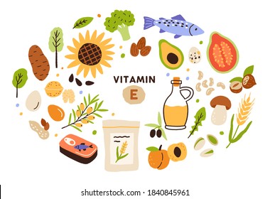 Collection of vitamin E sources. Balanced wholesome food. Fruits, vegetables, nuts, oil and fish. Dietetics products, organic. Flat vector cartoon illustration isolated on white background