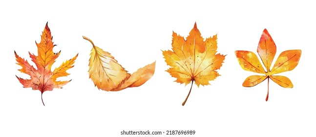 Collection of watercolor autumn leaves vector design on white background great for cards, banners, headers, party posters or decorate your artwork.