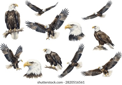 A collection of watercolor bald eagles in various poses, including flying, perched, and close-up portraits, showcasing their majestic presence.