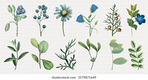 Collection of watercolor botanical illustrations featuring various flowers and leaves. Includes blue flowers, green leaves, and delicate plant details. Spring flower illustrations, isolated vectors.