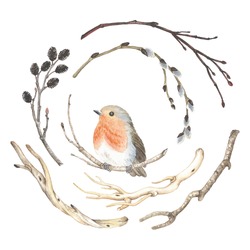 Collection Of Watercolor Branches And Bird Robin (Erithacus Rubecula), Vector Illustration In Vintage Style.