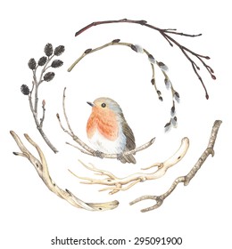 Collection of watercolor branches and bird Robin (Erithacus rubecula), vector illustration in vintage style.