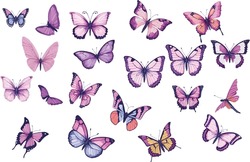 Collection Of Watercolor Butterfly On Isolated White Background. Set Of Watercolor Butterflies Vector Illustrations.