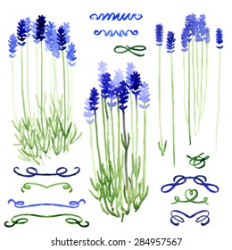 Collection of watercolor design elements - lavender and ribbons